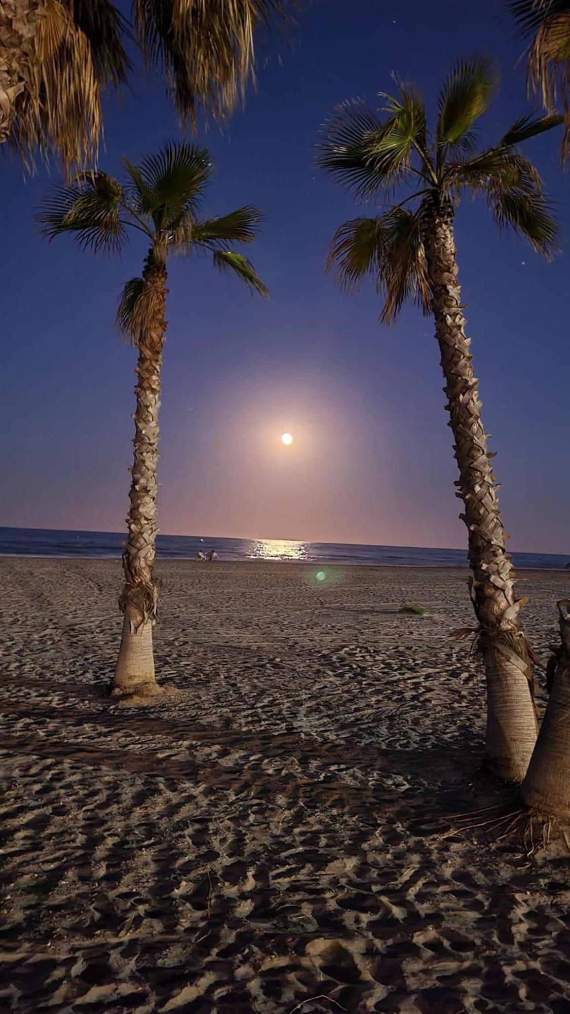 Residencial Puerta Del Mar Apartment Canet d'En Berenguer ภายนอก รูปภาพ